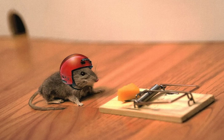 12 Incredible Uses for Peanut Butter - Catch unwanted house guests with peanut butter.