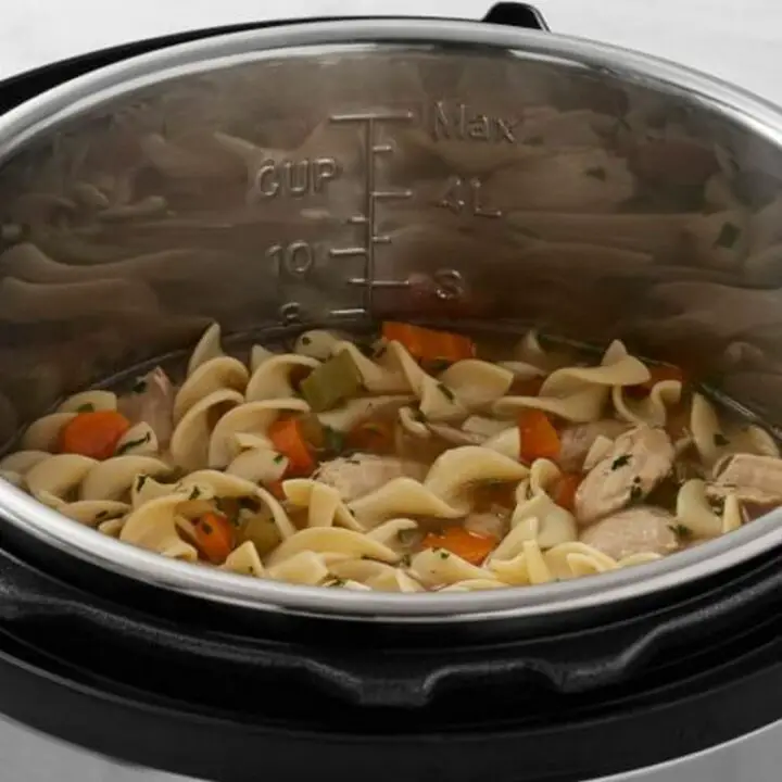 Instant Pot Chicken Noodle Soup.