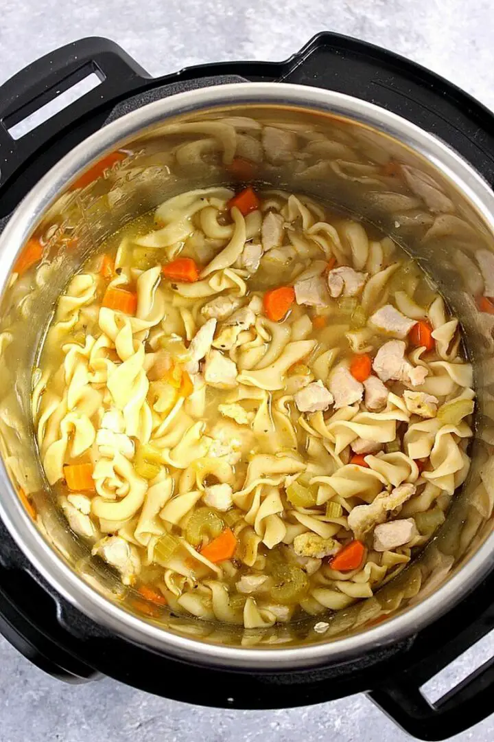 Instant Pot Chicken Noodle Soup.